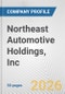 Northeast Automotive Holdings, Inc. Fundamental Company Report Including Financial, SWOT, Competitors and Industry Analysis - Product Thumbnail Image