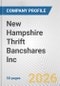 New Hampshire Thrift Bancshares Inc. Fundamental Company Report Including Financial, SWOT, Competitors and Industry Analysis - Product Thumbnail Image