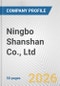 Ningbo Shanshan Co., Ltd. Fundamental Company Report Including Financial, SWOT, Competitors and Industry Analysis - Product Thumbnail Image