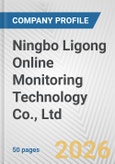 Ningbo Ligong Online Monitoring Technology Co., Ltd. Fundamental Company Report Including Financial, SWOT, Competitors and Industry Analysis- Product Image