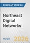 Northeast Digital Networks Fundamental Company Report Including Financial, SWOT, Competitors and Industry Analysis - Product Thumbnail Image
