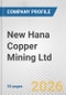 New Hana Copper Mining Ltd. Fundamental Company Report Including Financial, SWOT, Competitors and Industry Analysis - Product Thumbnail Image