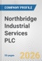 Northbridge Industrial Services PLC Fundamental Company Report Including Financial, SWOT, Competitors and Industry Analysis - Product Thumbnail Image