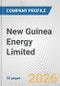 New Guinea Energy Limited Fundamental Company Report Including Financial, SWOT, Competitors and Industry Analysis - Product Thumbnail Image