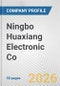 Ningbo Huaxiang Electronic Co. Fundamental Company Report Including Financial, SWOT, Competitors and Industry Analysis - Product Thumbnail Image