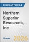 Northern Superior Resources, Inc. Fundamental Company Report Including Financial, SWOT, Competitors and Industry Analysis - Product Thumbnail Image