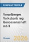 Vorarlberger Volksbank reg Genossenschaft mbH Fundamental Company Report Including Financial, SWOT, Competitors and Industry Analysis - Product Thumbnail Image