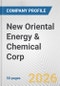 New Oriental Energy & Chemical Corp Fundamental Company Report Including Financial, SWOT, Competitors and Industry Analysis - Product Thumbnail Image
