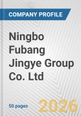 Ningbo Fubang Jingye Group Co. Ltd. Fundamental Company Report Including Financial, SWOT, Competitors and Industry Analysis- Product Image