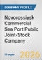 Novorossiysk Commercial Sea Port Public Joint-Stock Company Fundamental Company Report Including Financial, SWOT, Competitors and Industry Analysis - Product Thumbnail Image