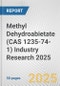 Methyl Dehydroabietate (CAS 1235-74-1) Industry Research 2025: Global and Regional Market Trends 2019-2024 and Forecast to 2029 - Product Thumbnail Image