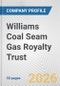 Williams Coal Seam Gas Royalty Trust Fundamental Company Report Including Financial, SWOT, Competitors and Industry Analysis - Product Thumbnail Image