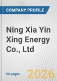 Ning Xia Yin Xing Energy Co., Ltd. Fundamental Company Report Including Financial, SWOT, Competitors and Industry Analysis- Product Image