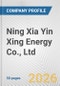 Ning Xia Yin Xing Energy Co., Ltd. Fundamental Company Report Including Financial, SWOT, Competitors and Industry Analysis - Product Thumbnail Image