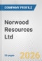 Norwood Resources Ltd. Fundamental Company Report Including Financial, SWOT, Competitors and Industry Analysis - Product Thumbnail Image