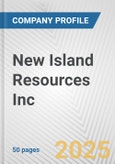 New Island Resources Inc. Fundamental Company Report Including Financial, SWOT, Competitors and Industry Analysis- Product Image