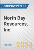 North Bay Resources, Inc. Fundamental Company Report Including Financial, SWOT, Competitors and Industry Analysis- Product Image