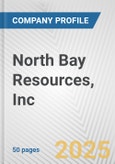 North Bay Resources, Inc. Fundamental Company Report Including Financial, SWOT, Competitors and Industry Analysis- Product Image