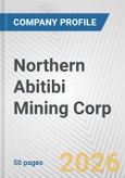 Northern Abitibi Mining Corp. Fundamental Company Report Including Financial, SWOT, Competitors and Industry Analysis- Product Image