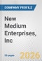 New Medium Enterprises, Inc. Fundamental Company Report Including Financial, SWOT, Competitors and Industry Analysis - Product Thumbnail Image