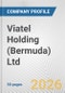 Viatel Holding (Bermuda) Ltd. Fundamental Company Report Including Financial, SWOT, Competitors and Industry Analysis - Product Thumbnail Image