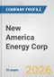 New America Energy Corp. Fundamental Company Report Including Financial, SWOT, Competitors and Industry Analysis - Product Thumbnail Image