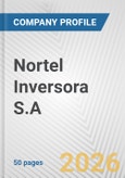 Nortel Inversora S.A. Fundamental Company Report Including Financial, SWOT, Competitors and Industry Analysis- Product Image