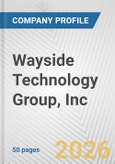 Wayside Technology Group, Inc. Fundamental Company Report Including Financial, SWOT, Competitors and Industry Analysis- Product Image