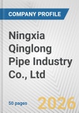 Ningxia Qinglong Pipe Industry Co., Ltd. Fundamental Company Report Including Financial, SWOT, Competitors and Industry Analysis- Product Image