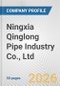 Ningxia Qinglong Pipe Industry Co., Ltd. Fundamental Company Report Including Financial, SWOT, Competitors and Industry Analysis - Product Thumbnail Image