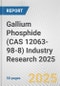 Gallium Phosphide (CAS 12063-98-8) Industry Research 2025: Global and Regional Market Trends 2019-2024 and Forecast to 2029 - Product Thumbnail Image