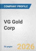 VG Gold Corp. Fundamental Company Report Including Financial, SWOT, Competitors and Industry Analysis- Product Image