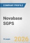 Novabase SGPS Fundamental Company Report Including Financial, SWOT, Competitors and Industry Analysis - Product Thumbnail Image