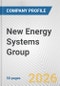 New Energy Systems Group Fundamental Company Report Including Financial, SWOT, Competitors and Industry Analysis - Product Thumbnail Image