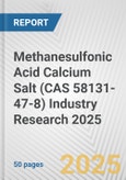 Methanesulfonic Acid Calcium Salt (CAS 58131-47-8) Industry Research 2025: Global and Regional Market Trends 2019-2024 and Forecast to 2029- Product Image