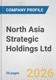 North Asia Strategic Holdings Ltd. Fundamental Company Report Including Financial, SWOT, Competitors and Industry Analysis- Product Image
