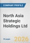 North Asia Strategic Holdings Ltd. Fundamental Company Report Including Financial, SWOT, Competitors and Industry Analysis - Product Thumbnail Image