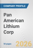 Pan American Lithium Corp Fundamental Company Report Including Financial, SWOT, Competitors and Industry Analysis- Product Image
