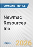 Newmac Resources Inc. Fundamental Company Report Including Financial, SWOT, Competitors and Industry Analysis- Product Image