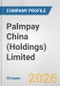 Palmpay China (Holdings) Limited Fundamental Company Report Including Financial, SWOT, Competitors and Industry Analysis - Product Thumbnail Image