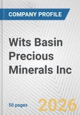 Wits Basin Precious Minerals Inc. Fundamental Company Report Including Financial, SWOT, Competitors and Industry Analysis- Product Image