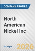 North American Nickel Inc. Fundamental Company Report Including Financial, SWOT, Competitors and Industry Analysis- Product Image