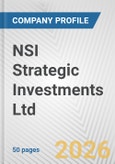NSI Strategic Investments Ltd. Fundamental Company Report Including Financial, SWOT, Competitors and Industry Analysis- Product Image