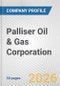 Palliser Oil & Gas Corporation Fundamental Company Report Including Financial, SWOT, Competitors and Industry Analysis - Product Thumbnail Image