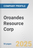 Oroandes Resource Corp. Fundamental Company Report Including Financial, SWOT, Competitors and Industry Analysis- Product Image