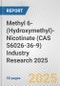 Methyl 6-(Hydroxymethyl)-Nicotinate (CAS 56026-36-9) Industry Research 2025: Global and Regional Market Trends 2019-2024 and Forecast to 2029 - Product Image