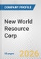 New World Resource Corp. Fundamental Company Report Including Financial, SWOT, Competitors and Industry Analysis - Product Thumbnail Image
