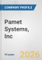 Pamet Systems, Inc. Fundamental Company Report Including Financial, SWOT, Competitors and Industry Analysis - Product Thumbnail Image