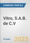 Vitro, S.A.B. de C.V Fundamental Company Report Including Financial, SWOT, Competitors and Industry Analysis - Product Thumbnail Image