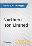 Northern Iron Limited Fundamental Company Report Including Financial, SWOT, Competitors and Industry Analysis- Product Image